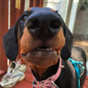 Meet your Posher, Akira